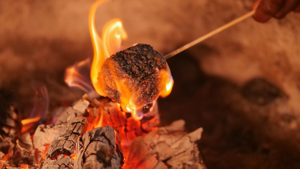 fire pit marshmallow