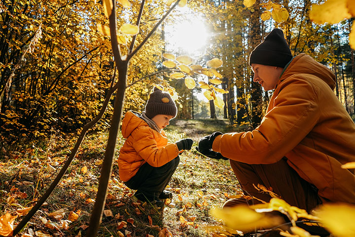 Son and dad hiking and examining fall foliage