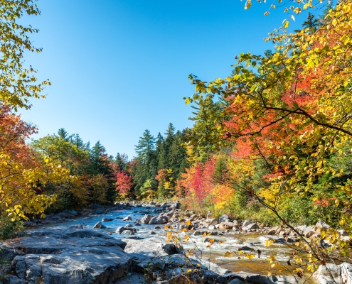 Magnificence of New England foliage scenario in autumn.