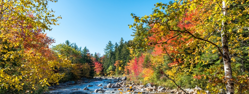 Magnificence of New England foliage scenario in autumn.
