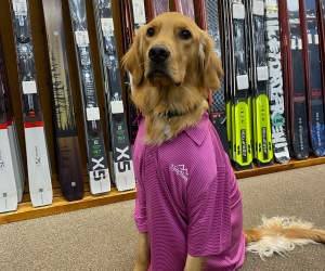 Breast Cancer Fundraising